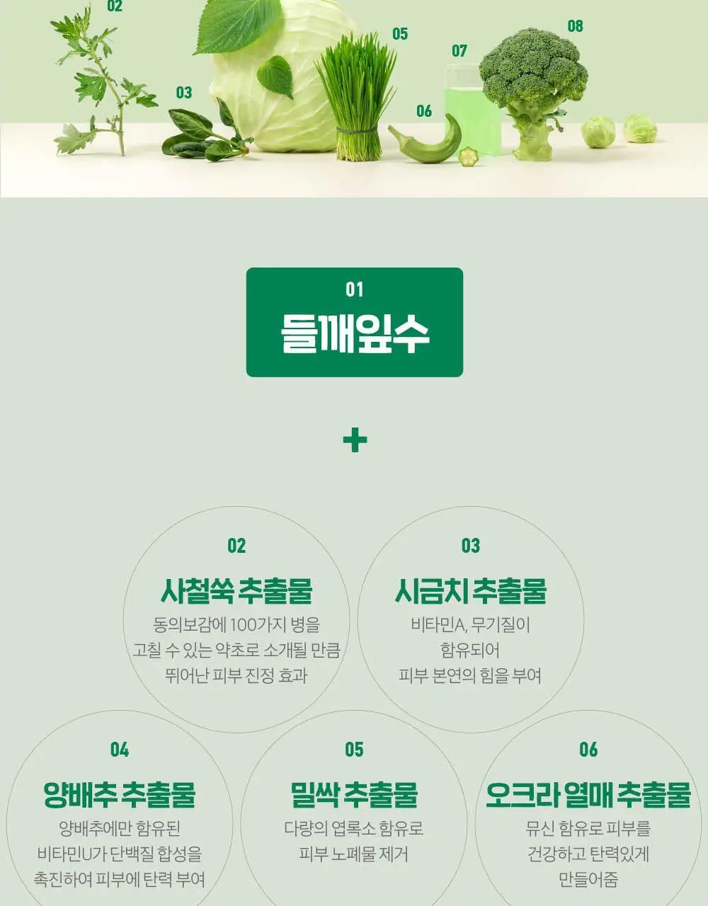 [레오제이 Pick] 슈레피 겟리프 트윈 패드팩 20팩 (40매) 상세페이지 24
